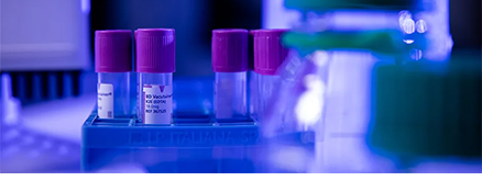 thermofisher