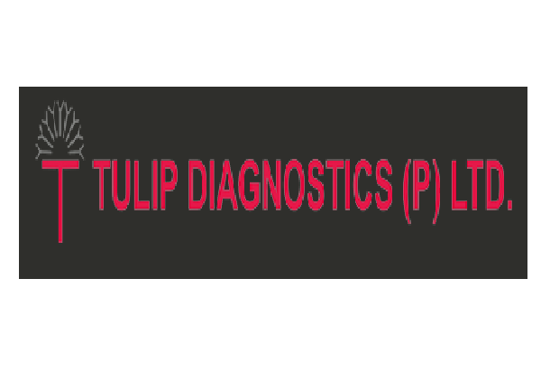 tulip