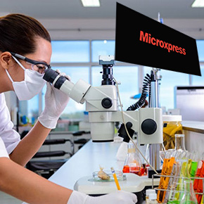 thermofisher